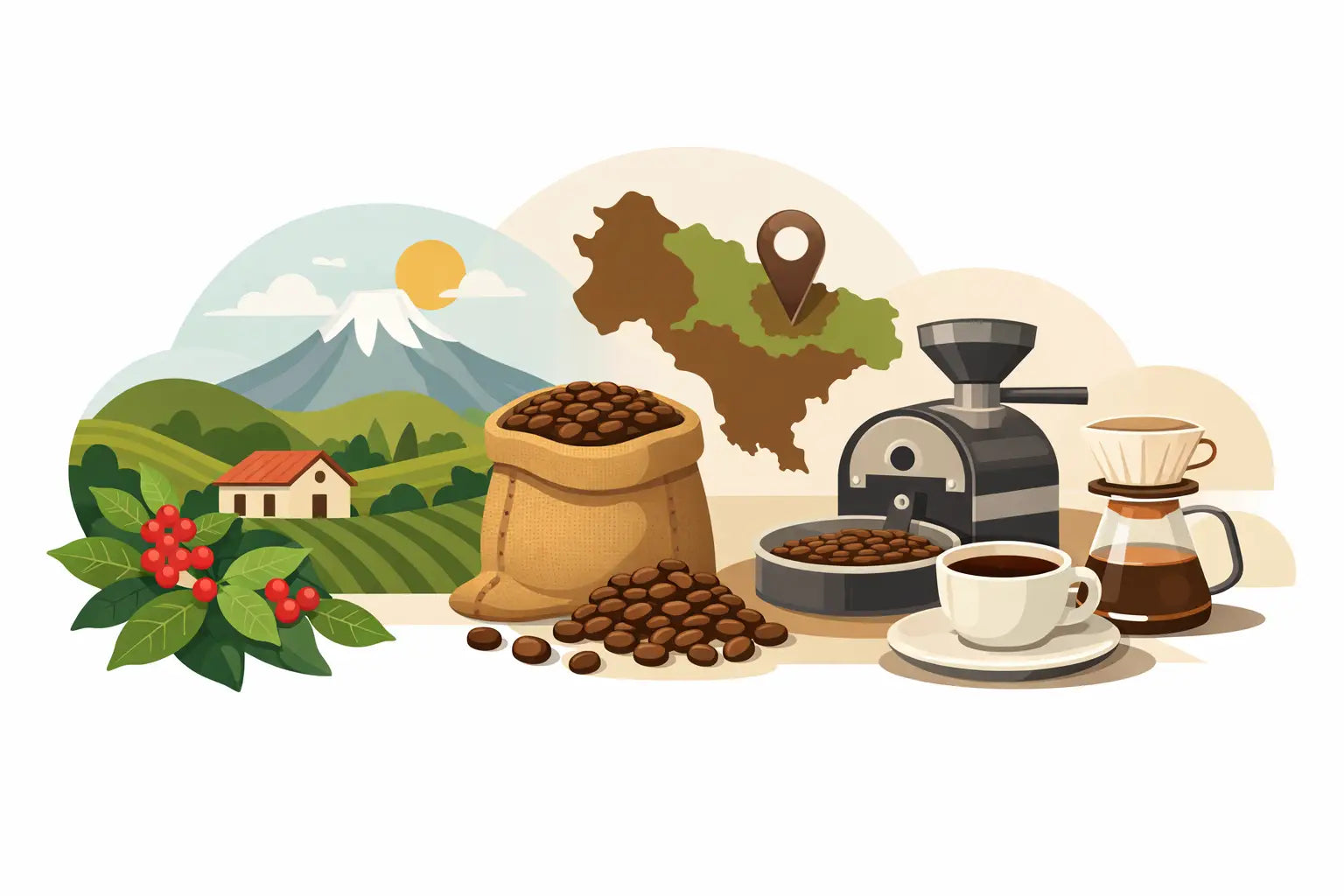 What Single Origin Coffee Meaning Really Is